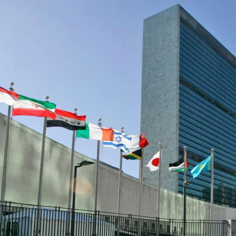 UN reviews SDG 12 and other goals